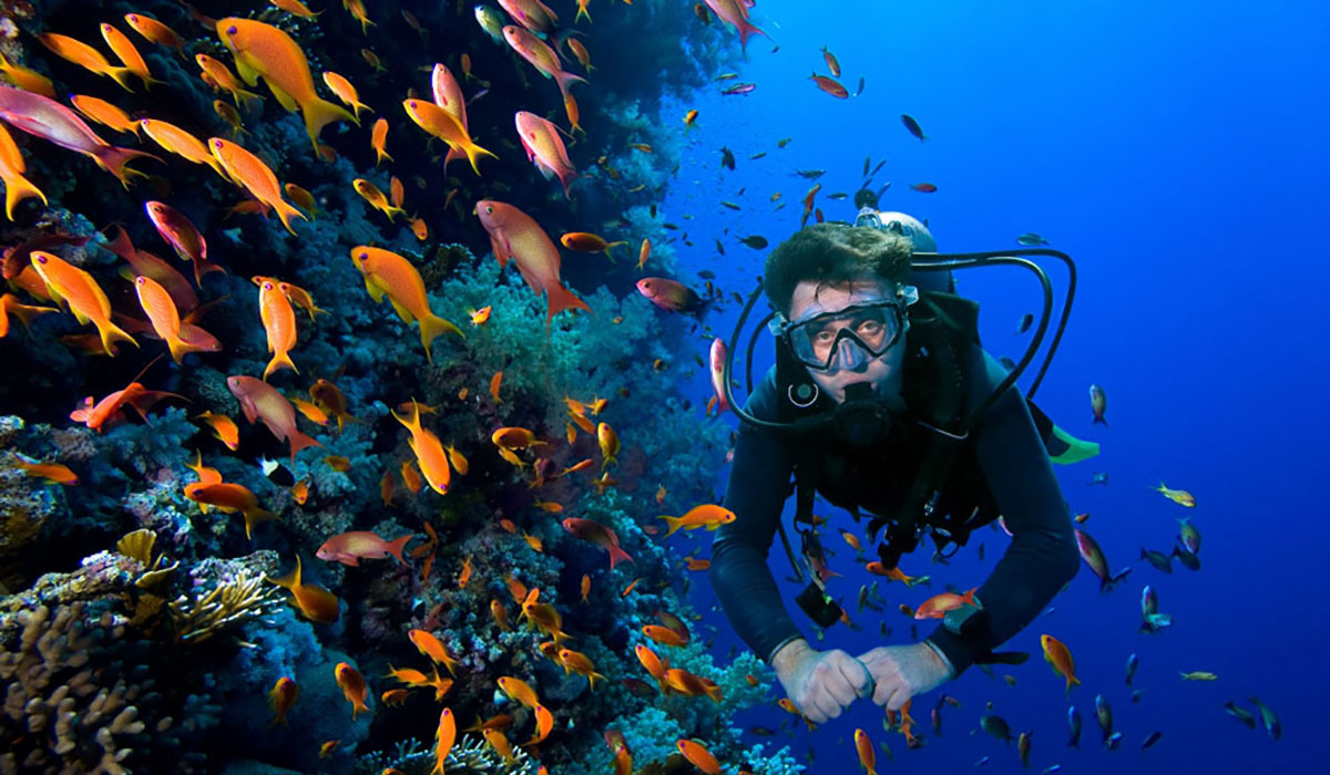 Cozumel Reefs - Cozumel Adventures